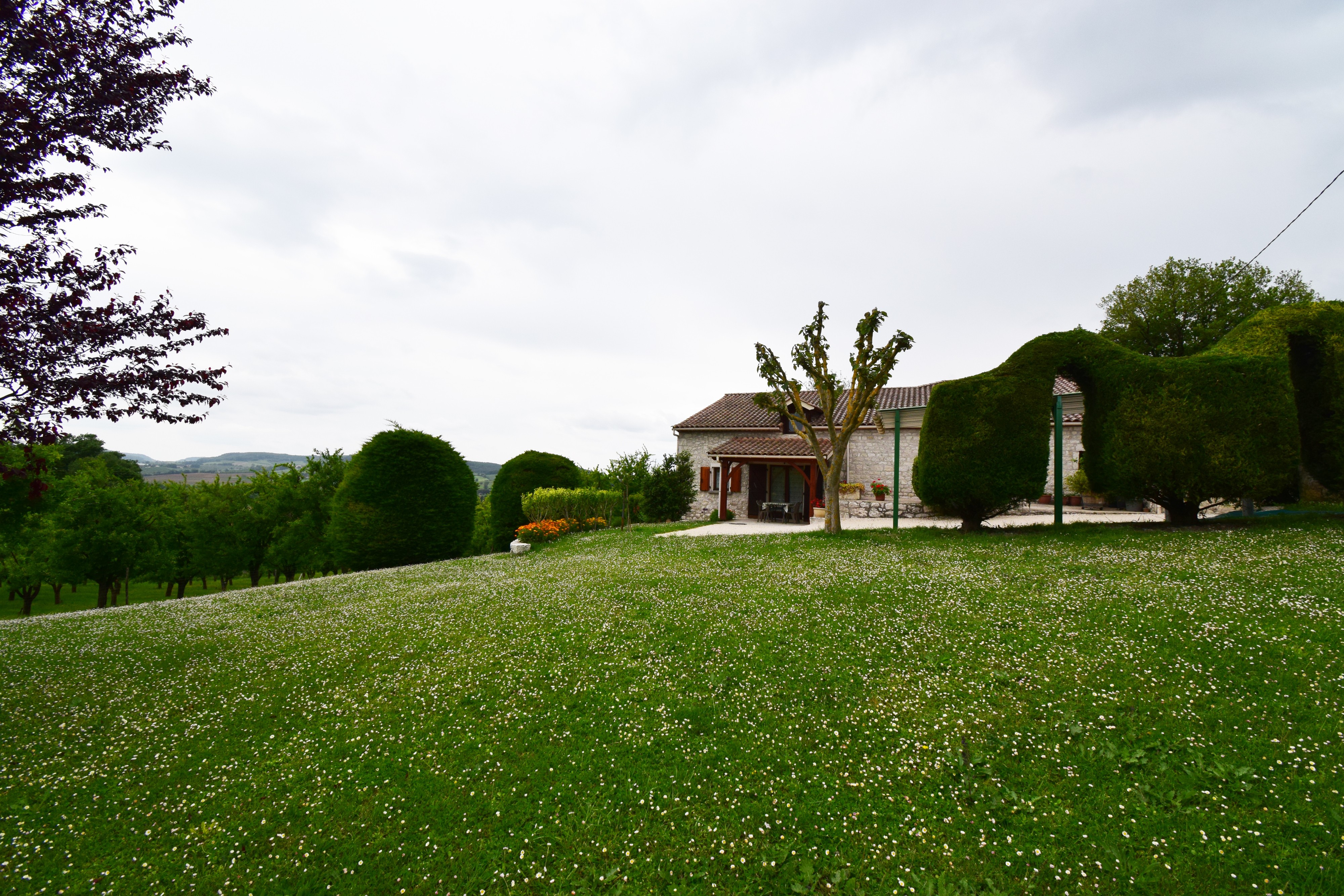 Jardin