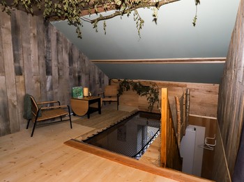 Esprit Cabane room - L'Hôtel Enfoncée Bed and Breakfast Le Val d'Ajol