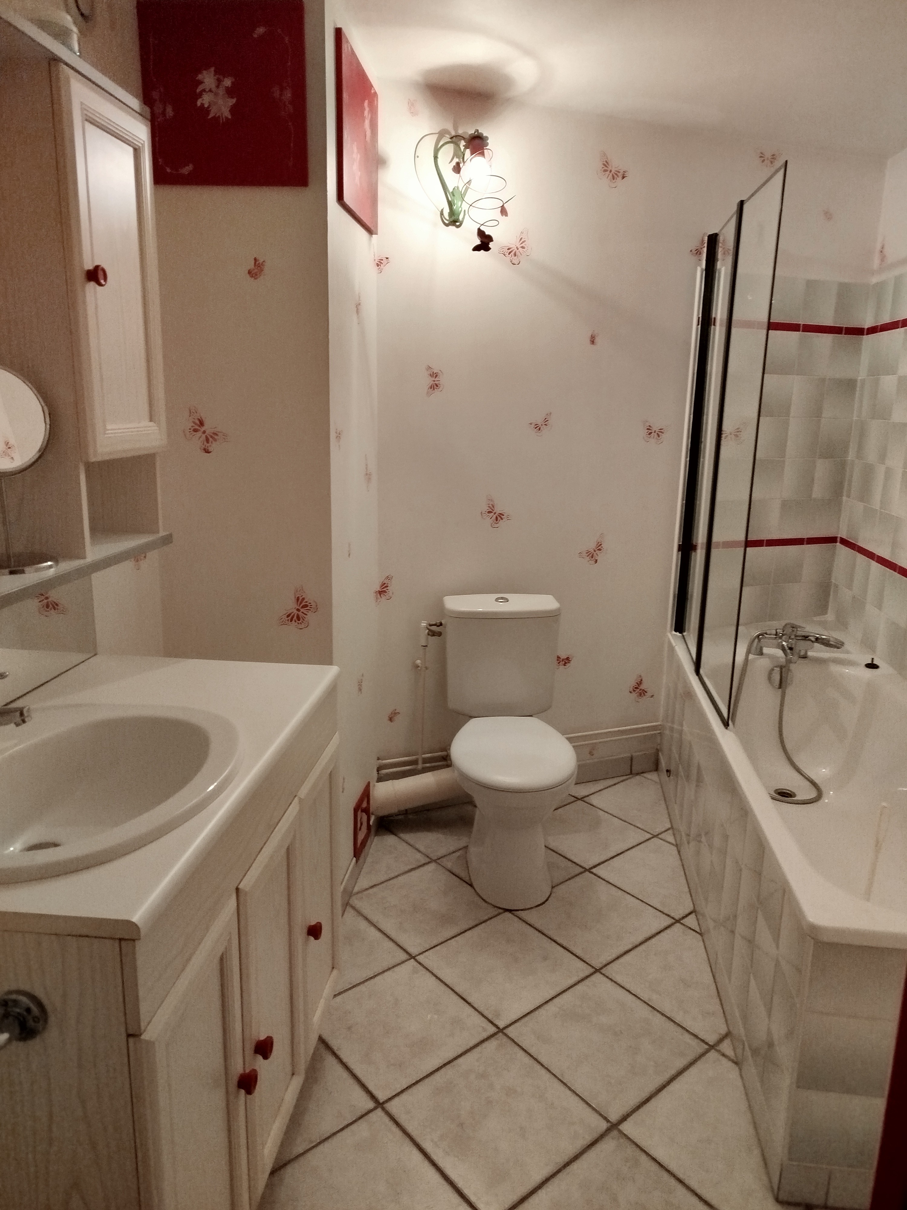 salle de bains/WC 1 er