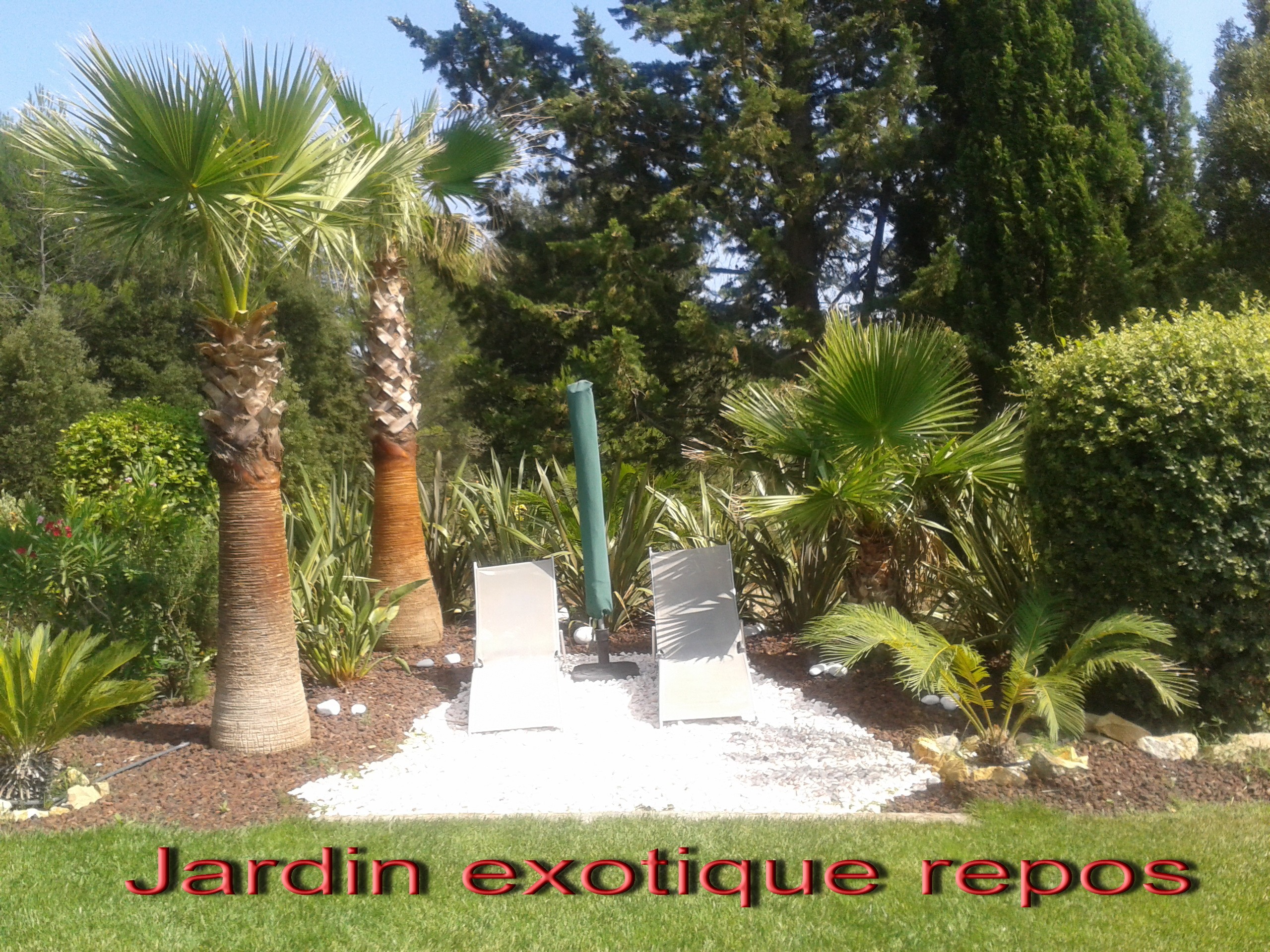 Jardin exotique repos