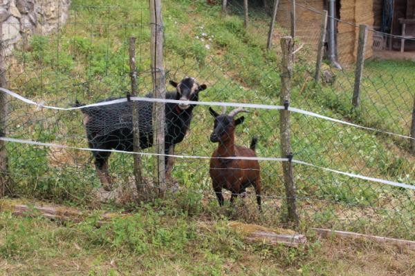 Photo n° 14 de la location