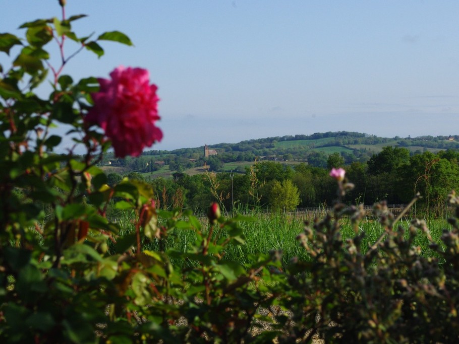 Vue sur les vallons au matin.