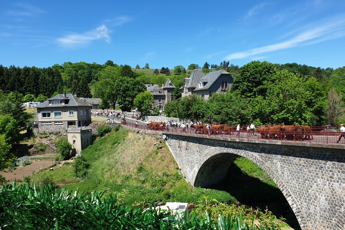 La vue de la terrasse