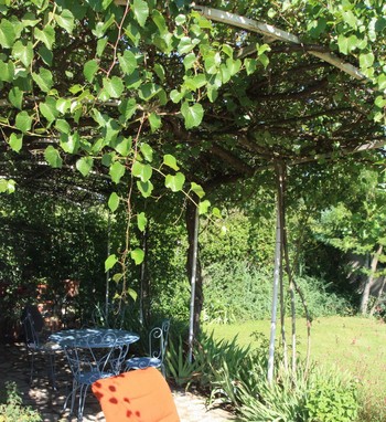 Jardin