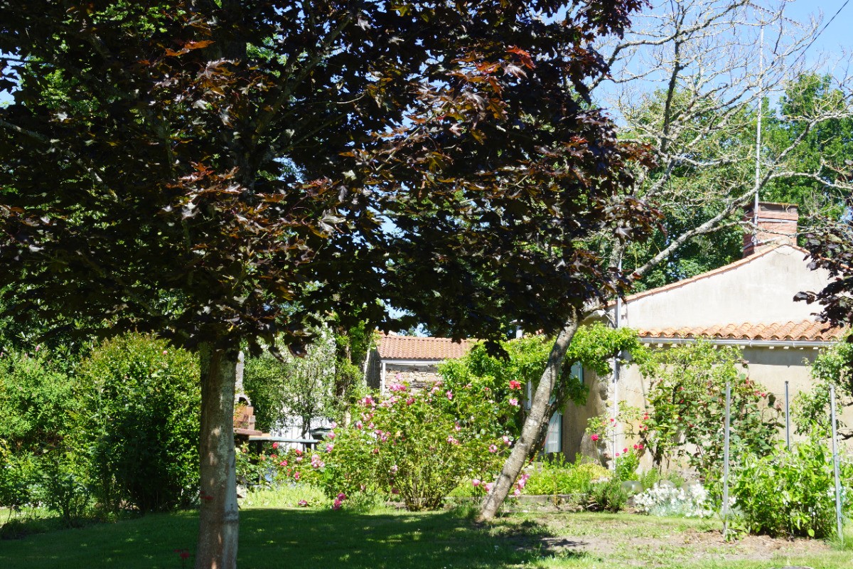 le jardin