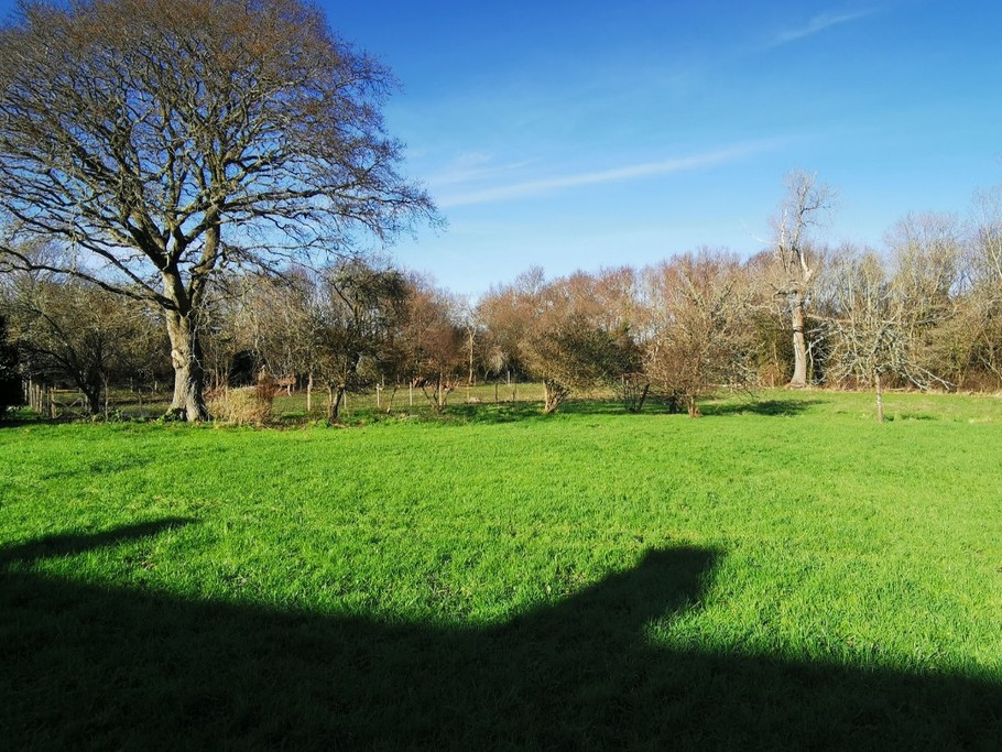 Photo n° 17 de la location