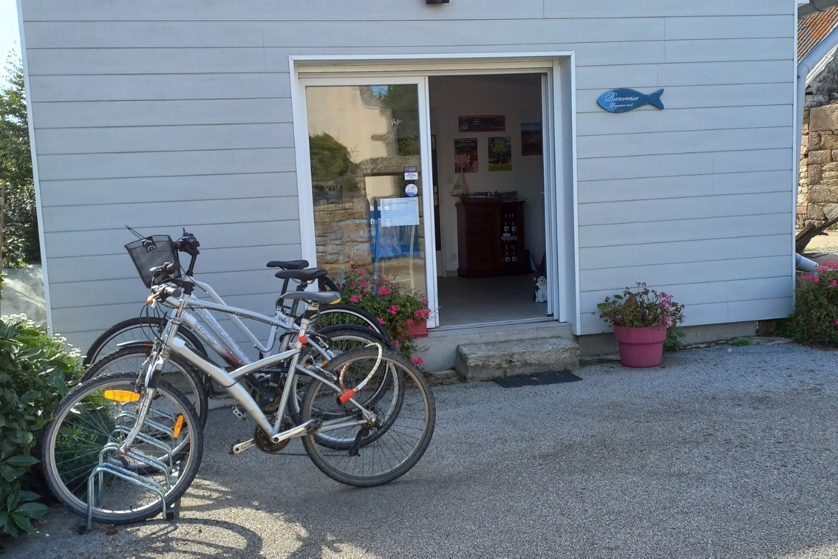 bicycle hire