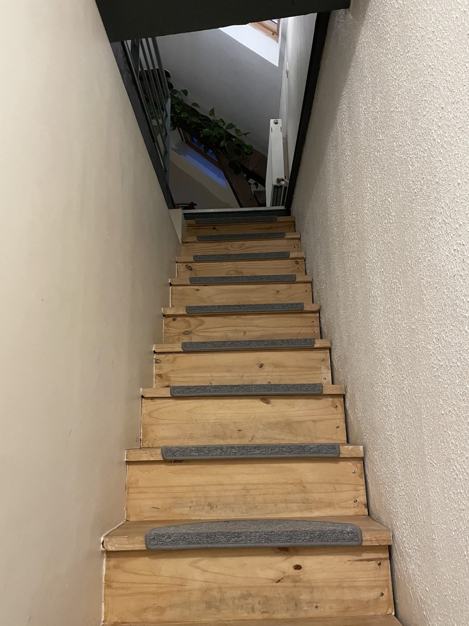 Photo n° 10 de la location