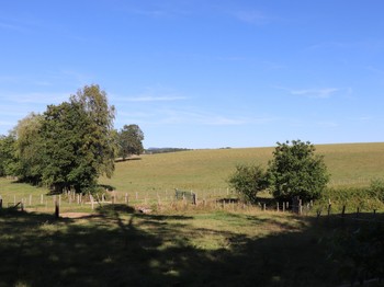 Photo n° 16 de la location