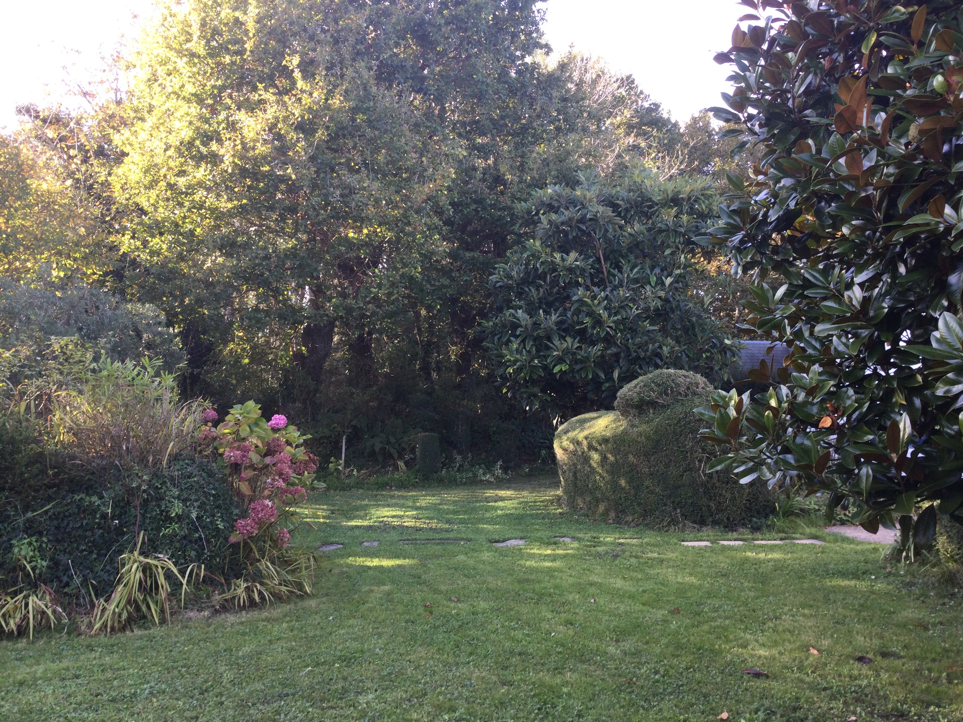 Jardin
