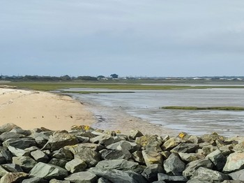 Le "Chemin d'Oléron" au départ de Château d'Oléron