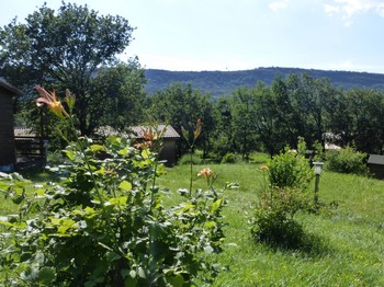 Photo n° 7 de la location