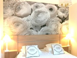 la chambre, lit 160 grand confort et possibilité de faire 2 lits séparés