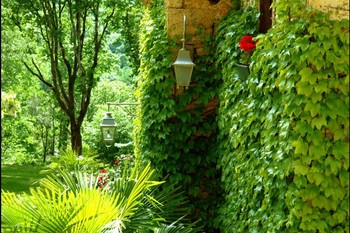 Photo n° 11 de la location