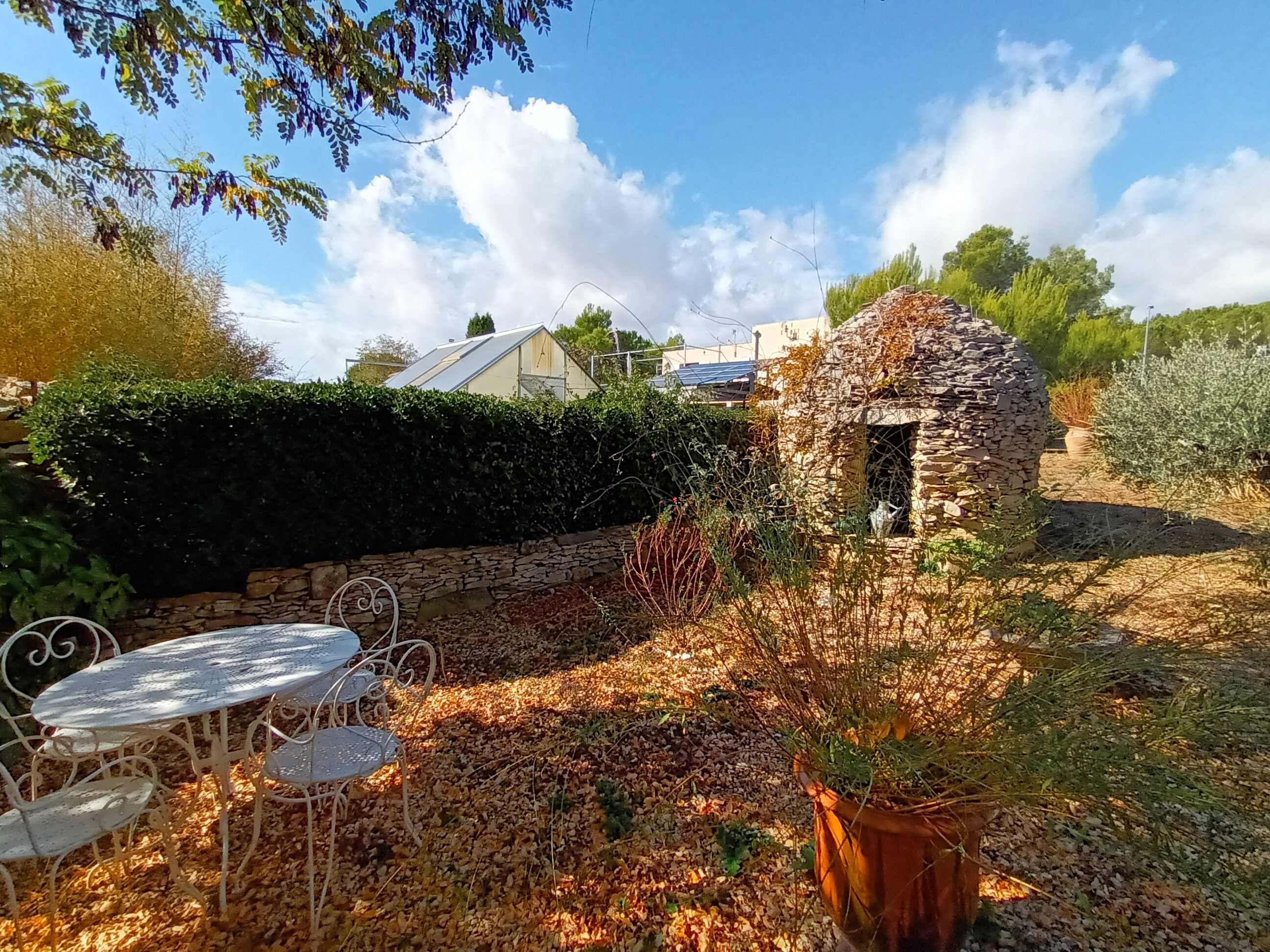 Jardin