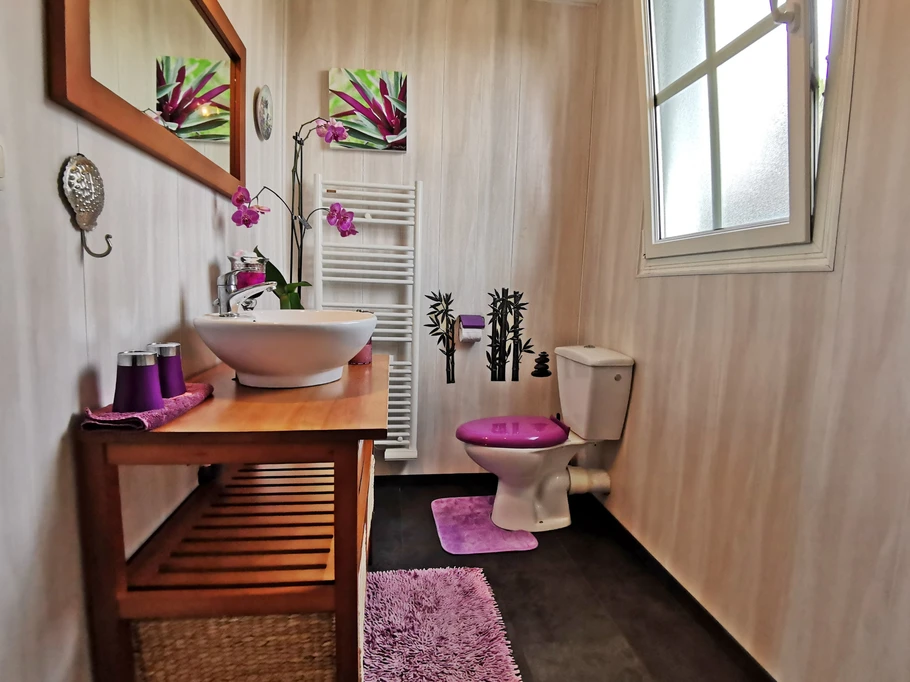 En-suite shower room with WC communicating with the bedroom
