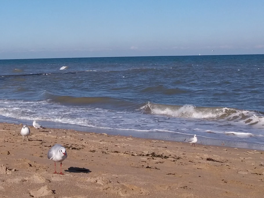 Plage de St Aubin sur mer