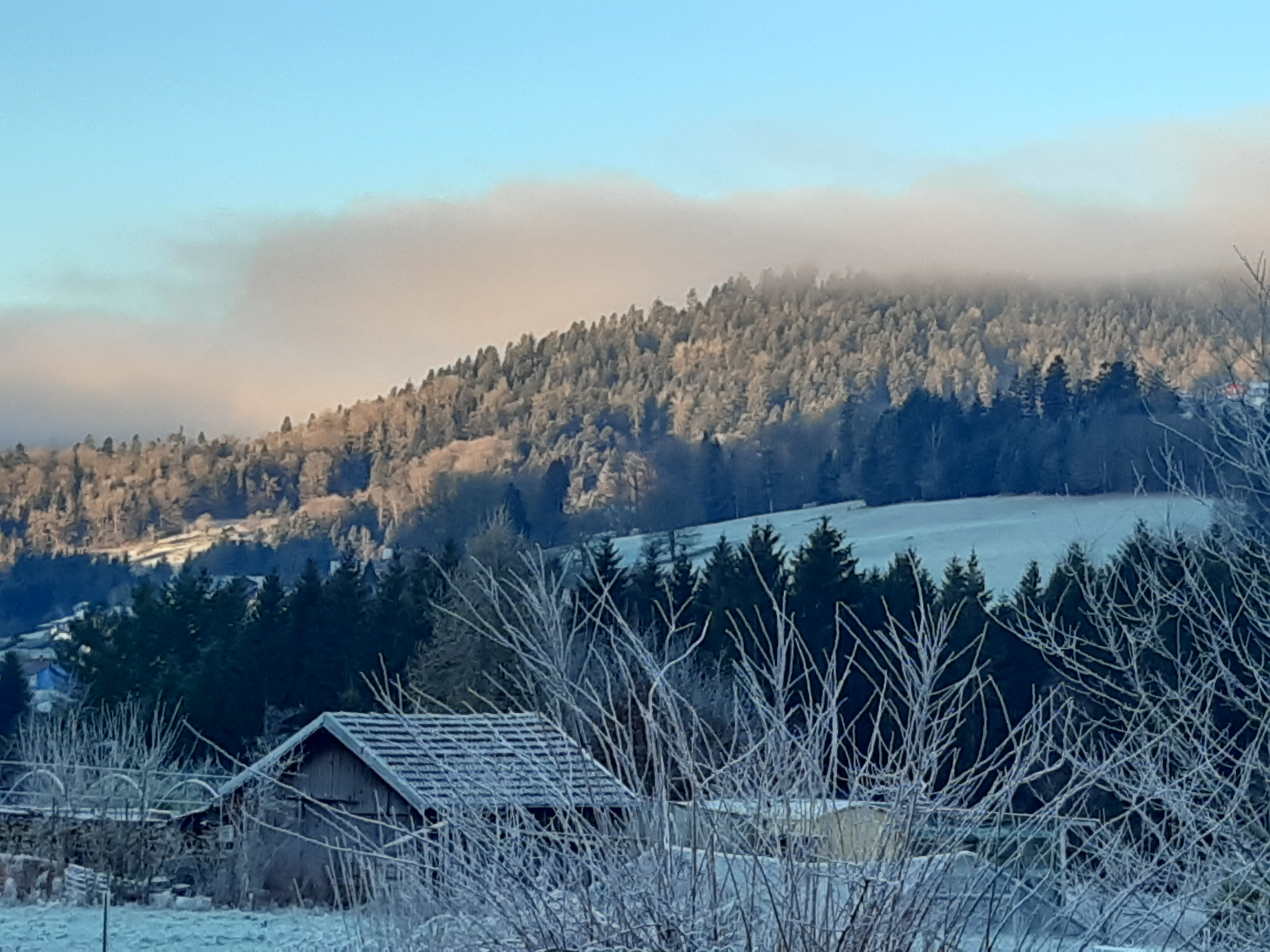 Chambre d’hôtes La Pimprenelle : repos et nature – Vosges