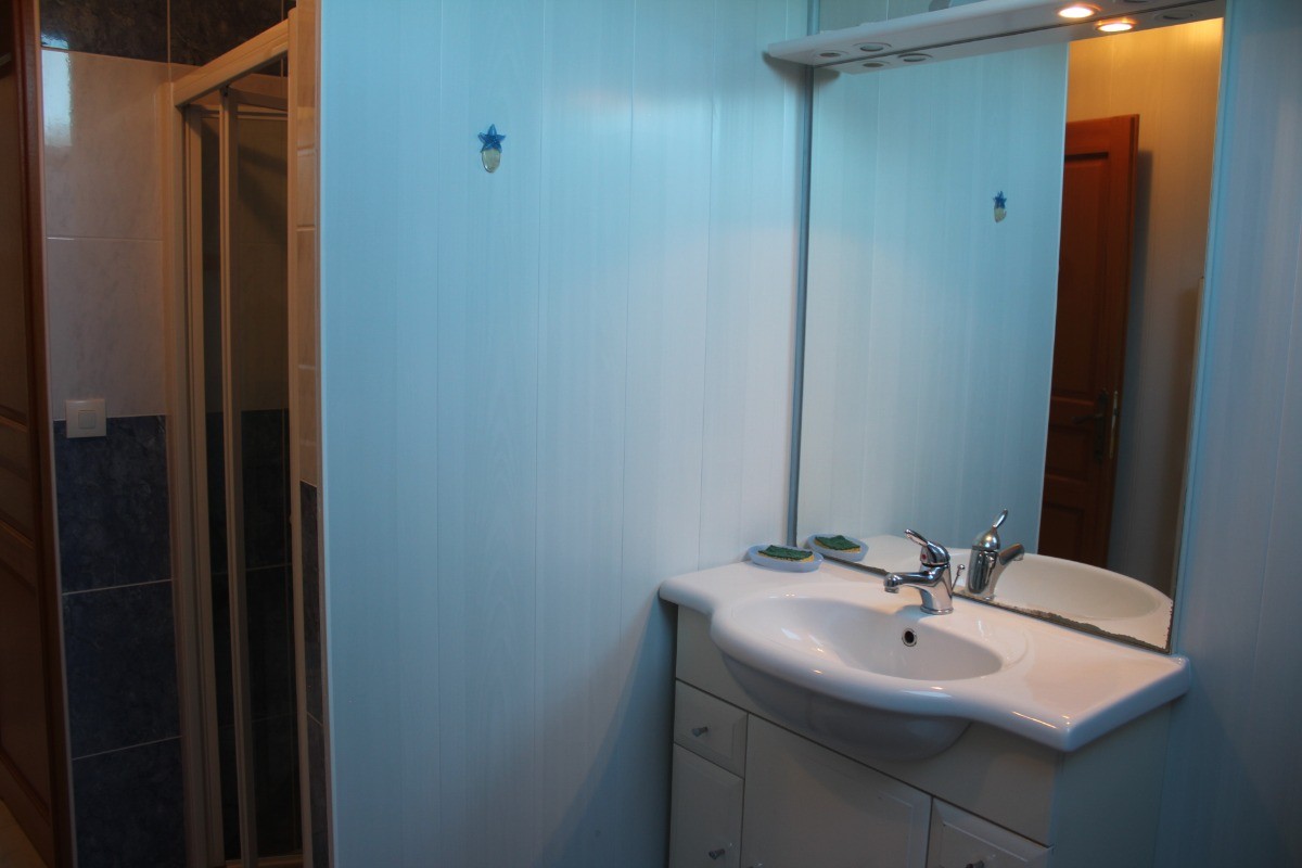 salle de bain 2 avec douche