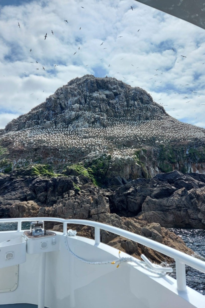 Visite des sept îles