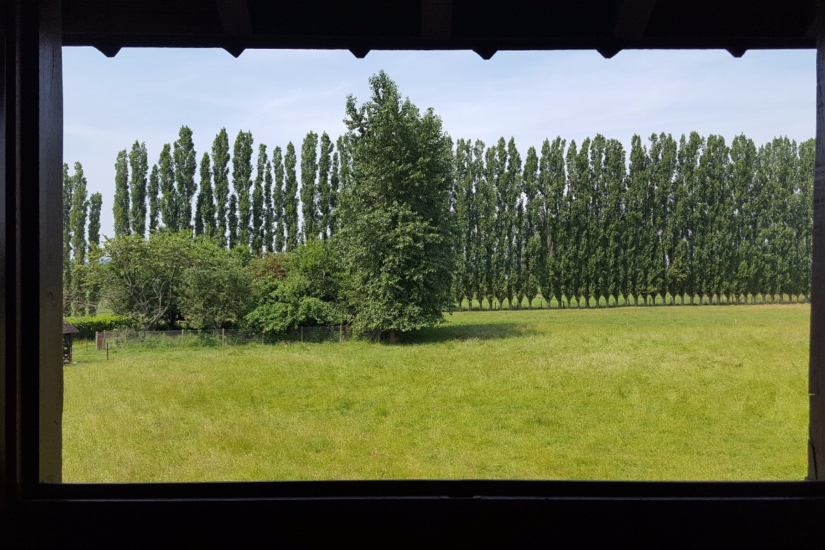 Photo n° 15 de la location