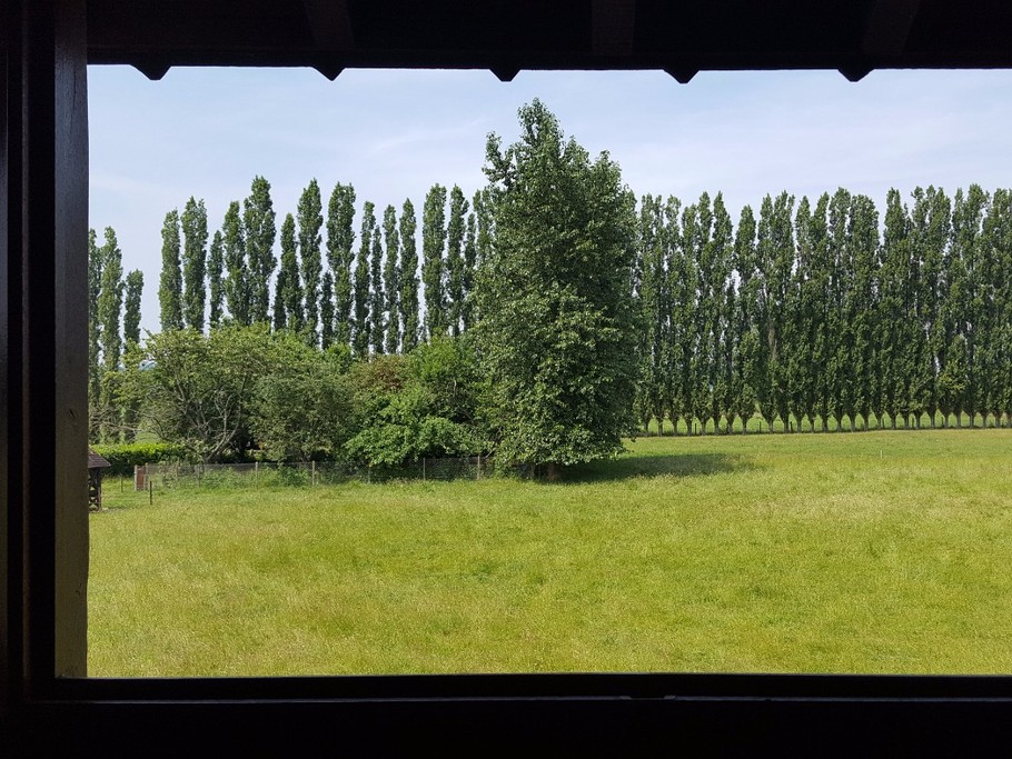 Photo n° 15 of the location