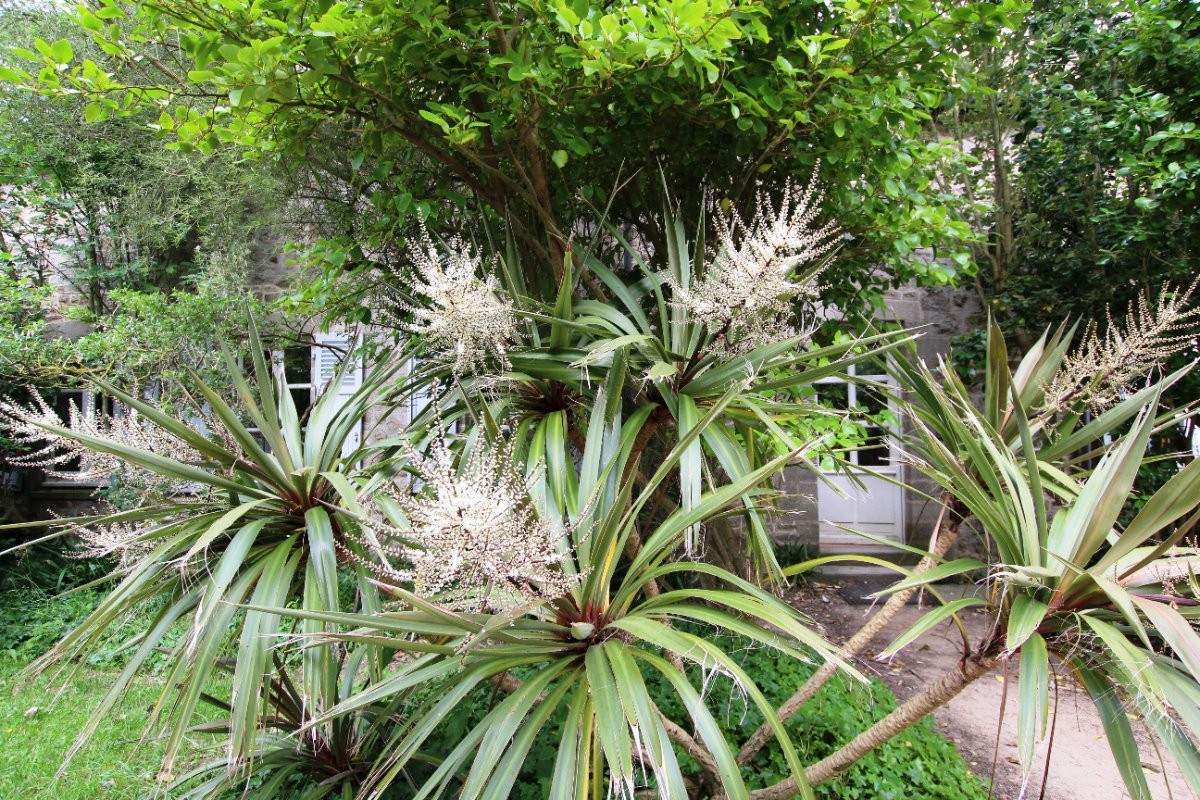 ile de Tatihou et son magnifique jardin