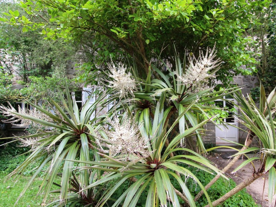 ile de Tatihou et son magnifique jardin