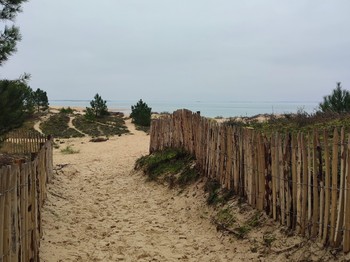 Plage des Saumonards - Boyardu
