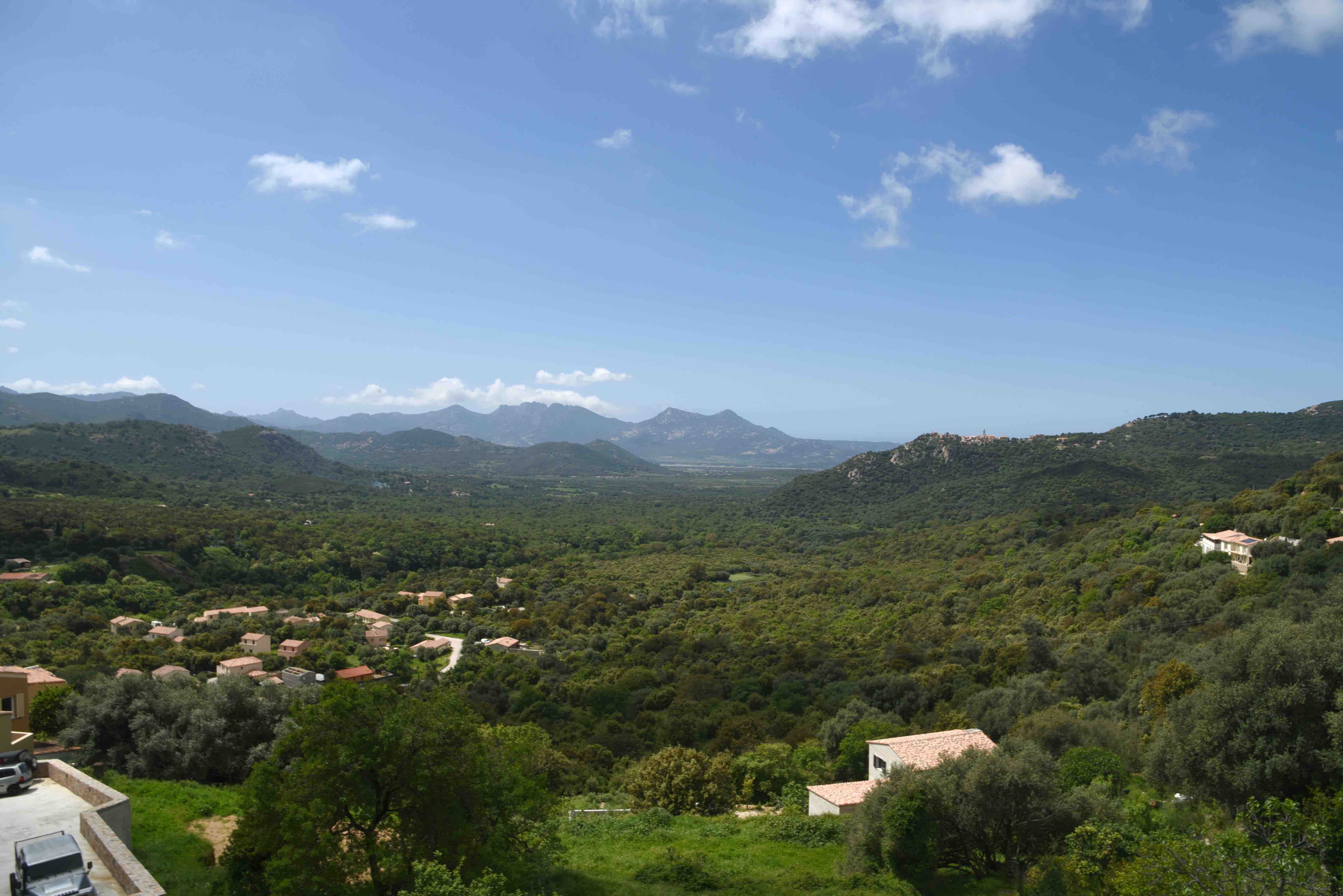 vue depuis la chambre