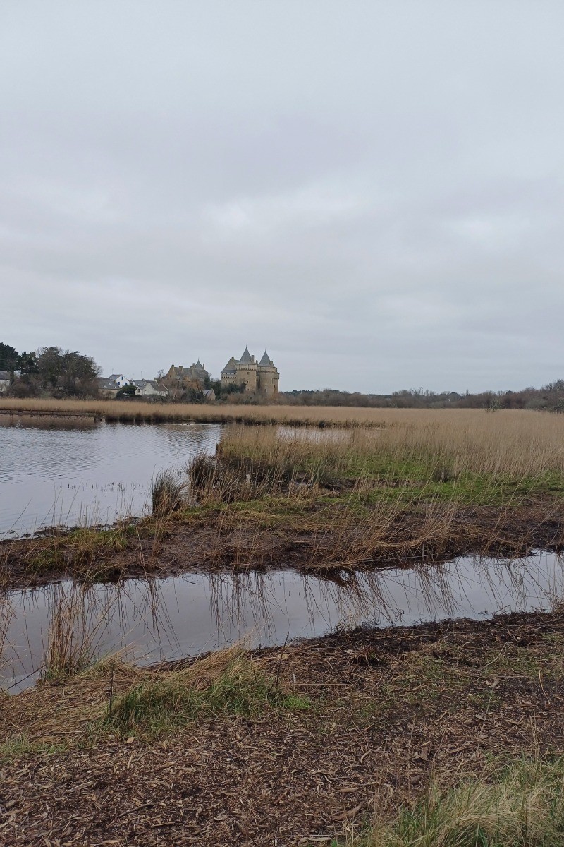 Zone protégée des salines à côté du château de Suscinio