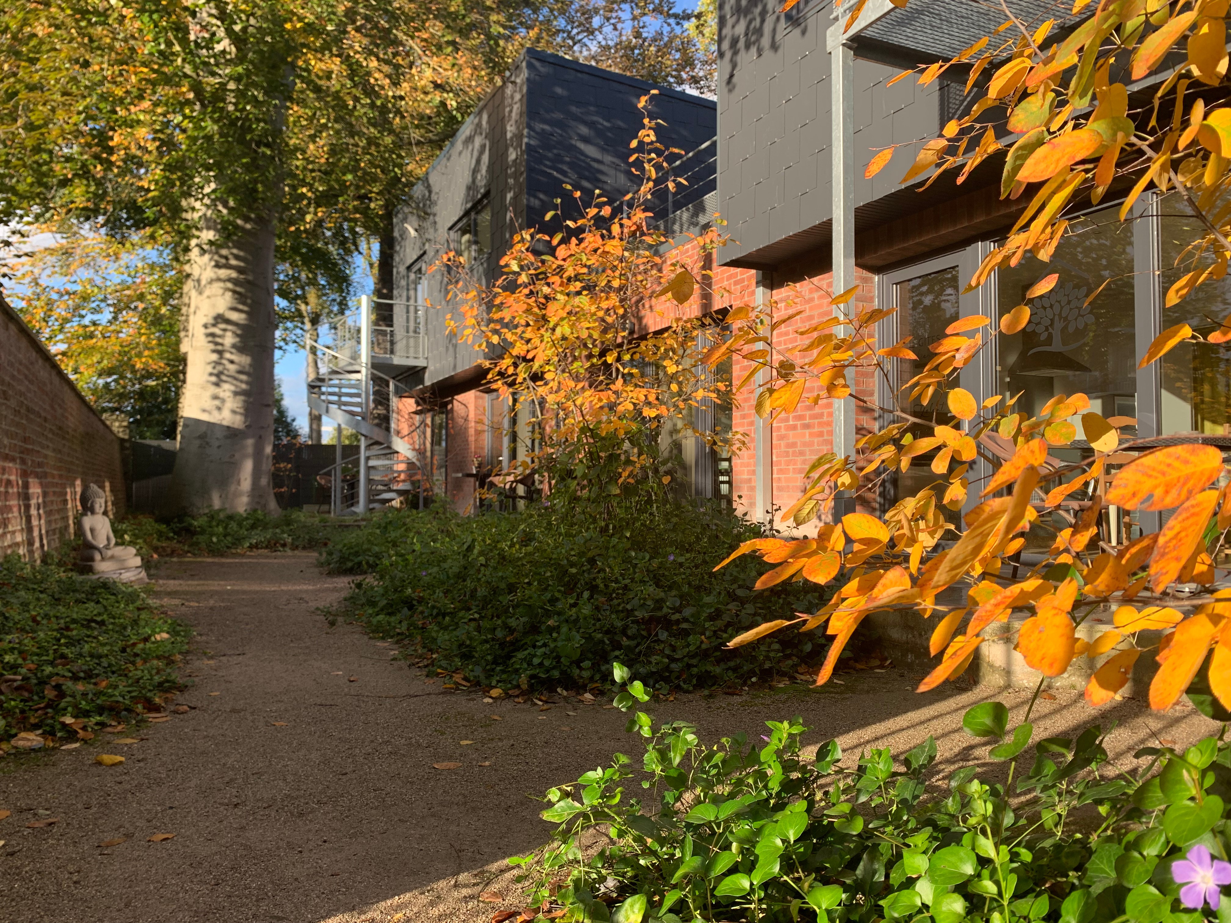 Photo n° 12 of the location