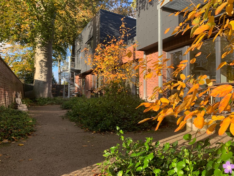 Photo n° 12 de la location