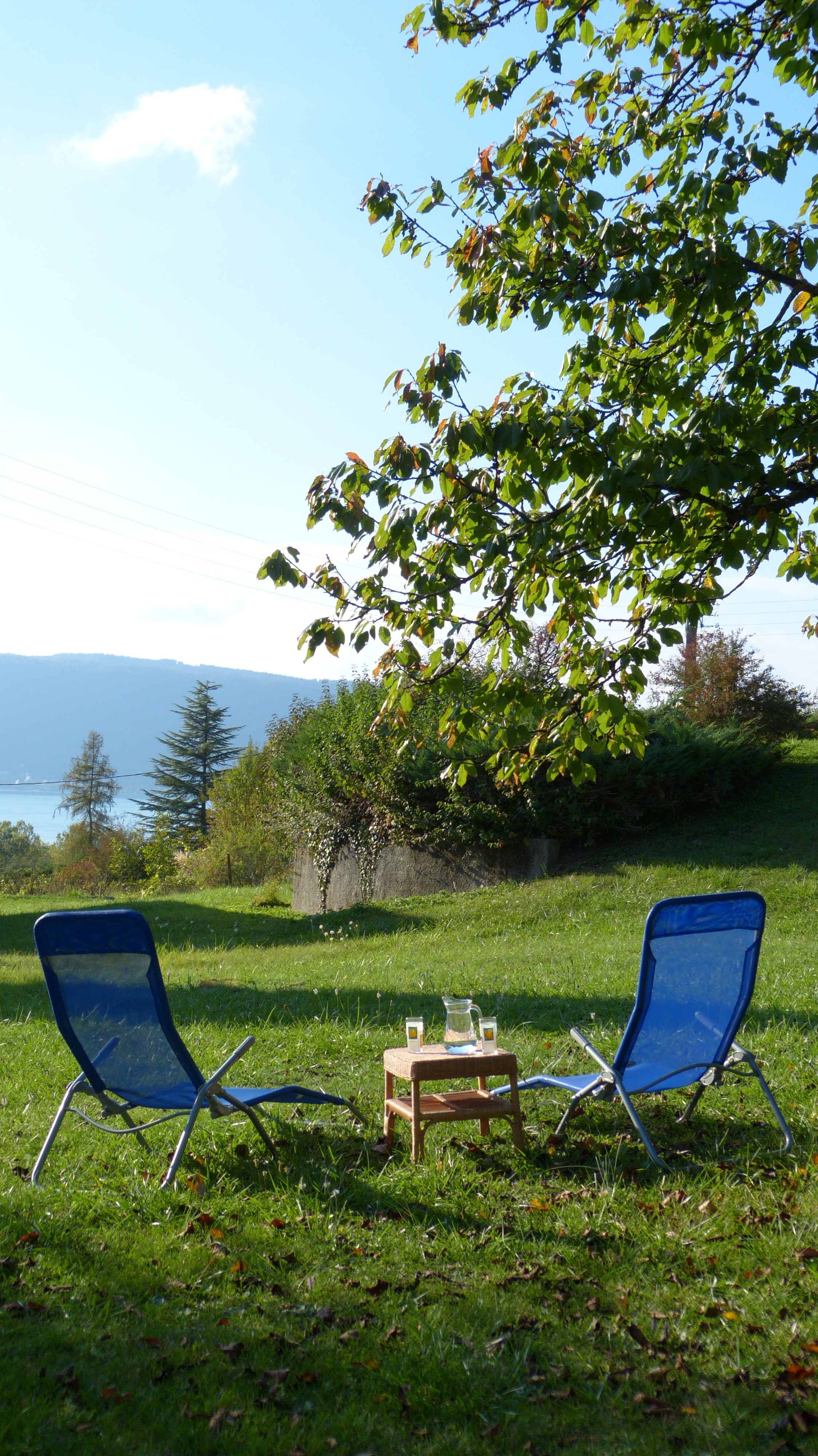 Photo n° 12 de la location