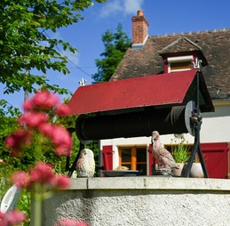 Image n° 3 de la location