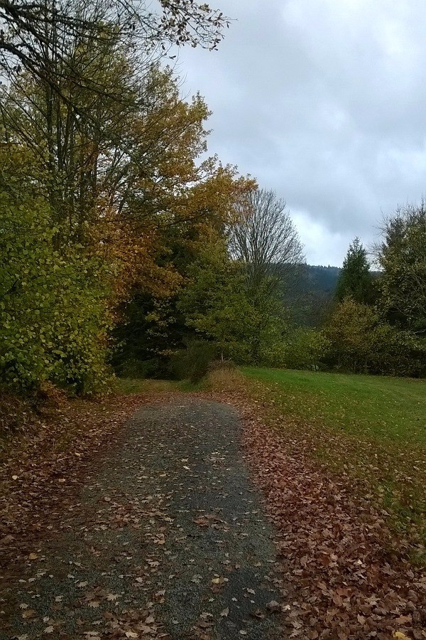 couleur d'automne