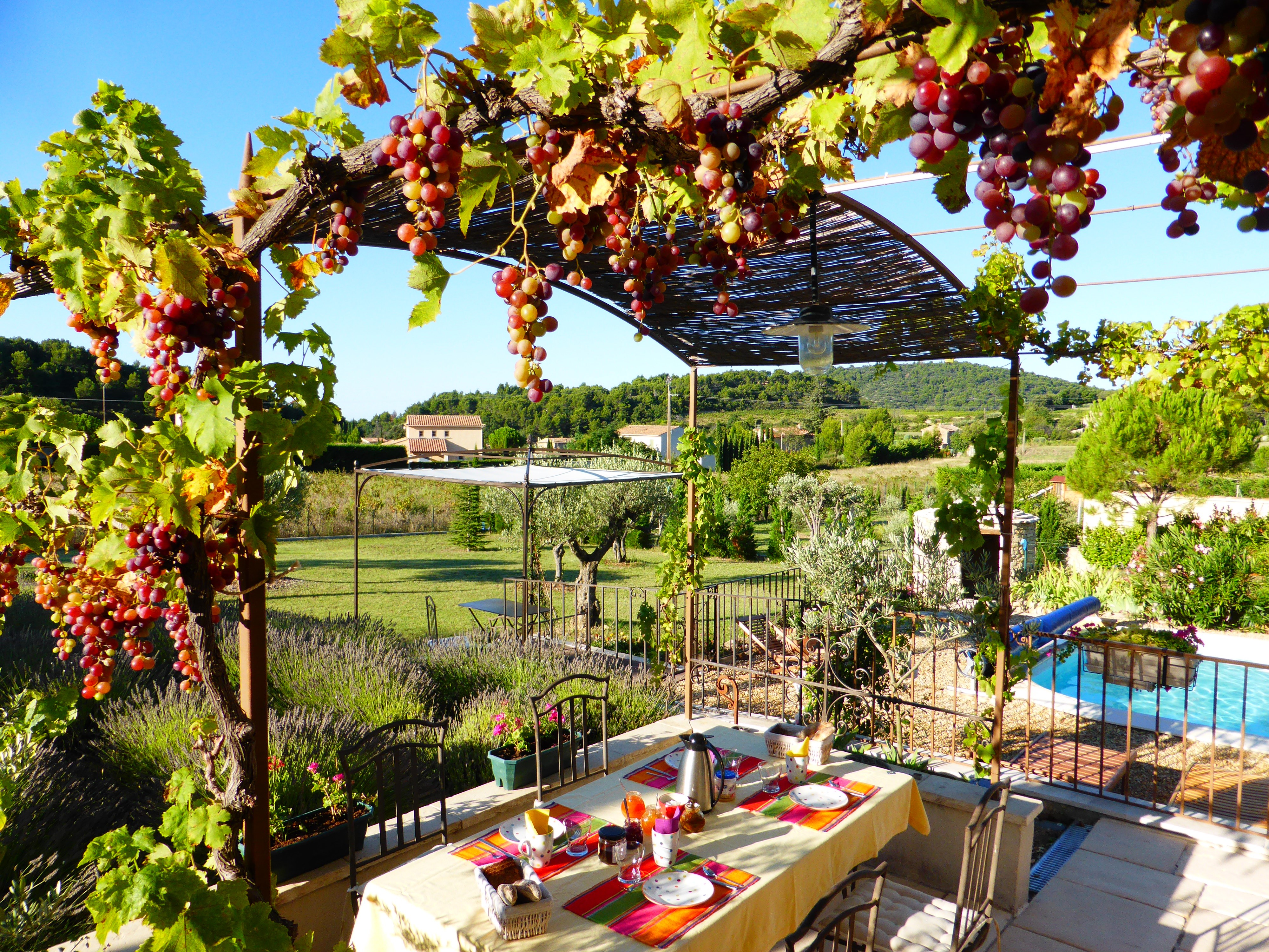 breakfast under the trellis