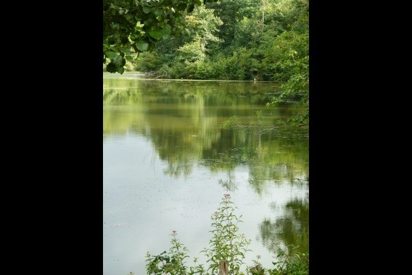 Photo n° 7 of the location