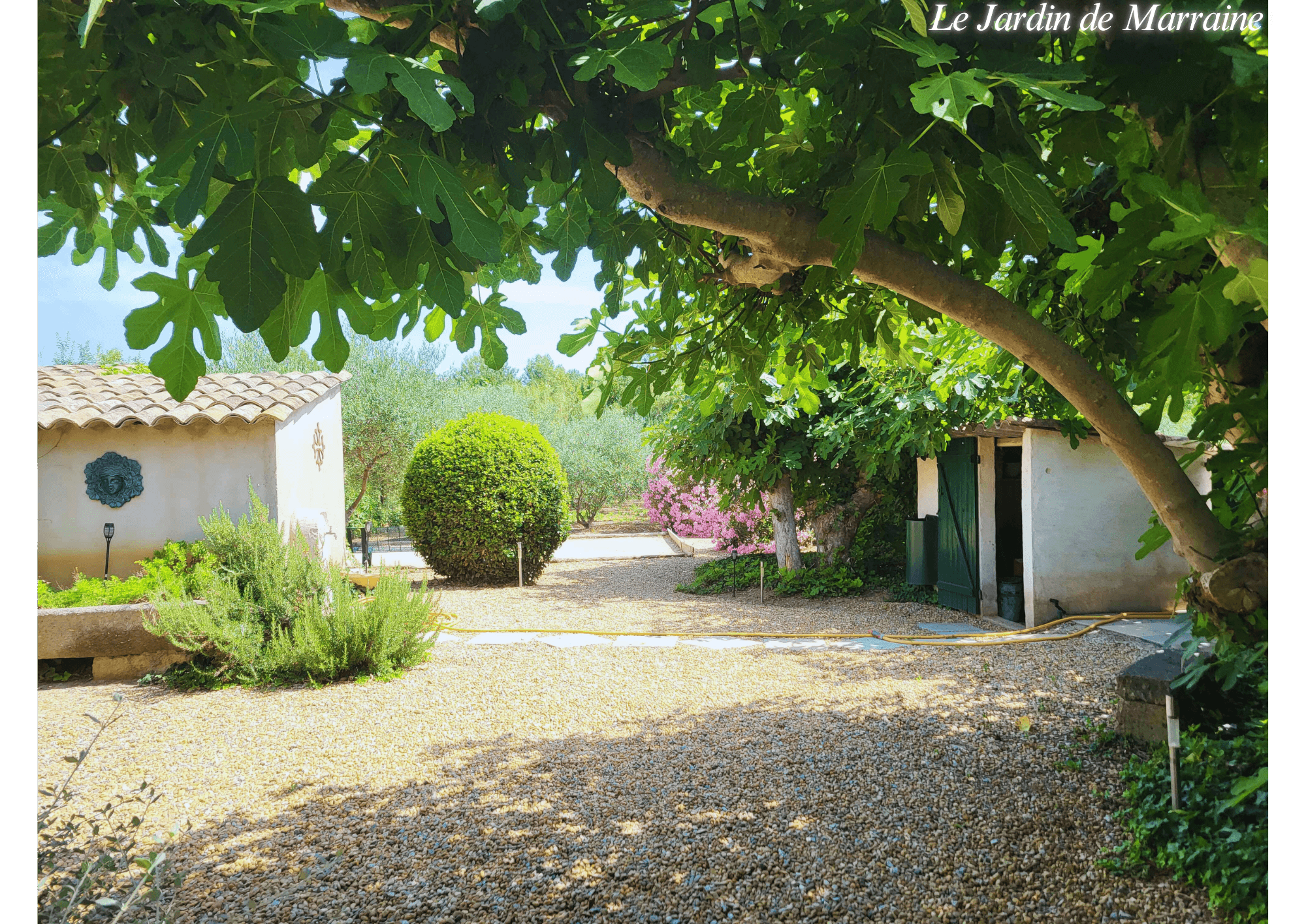 Le  jardin