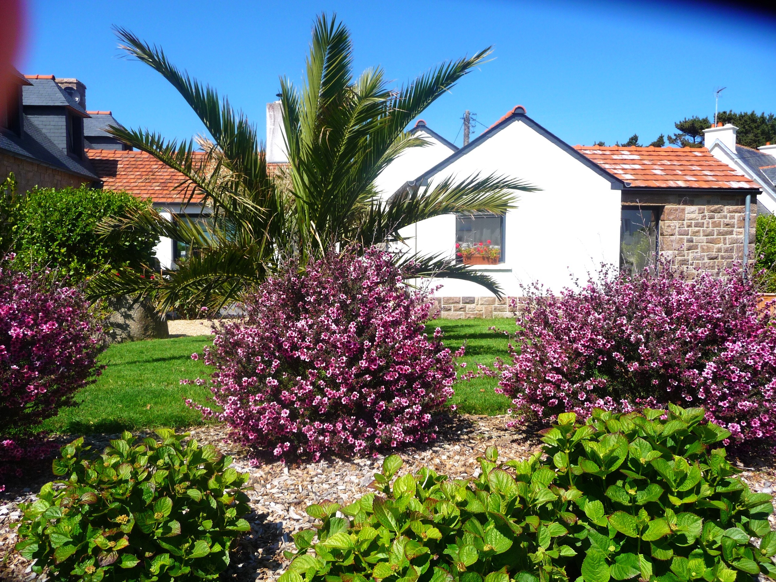 jardin