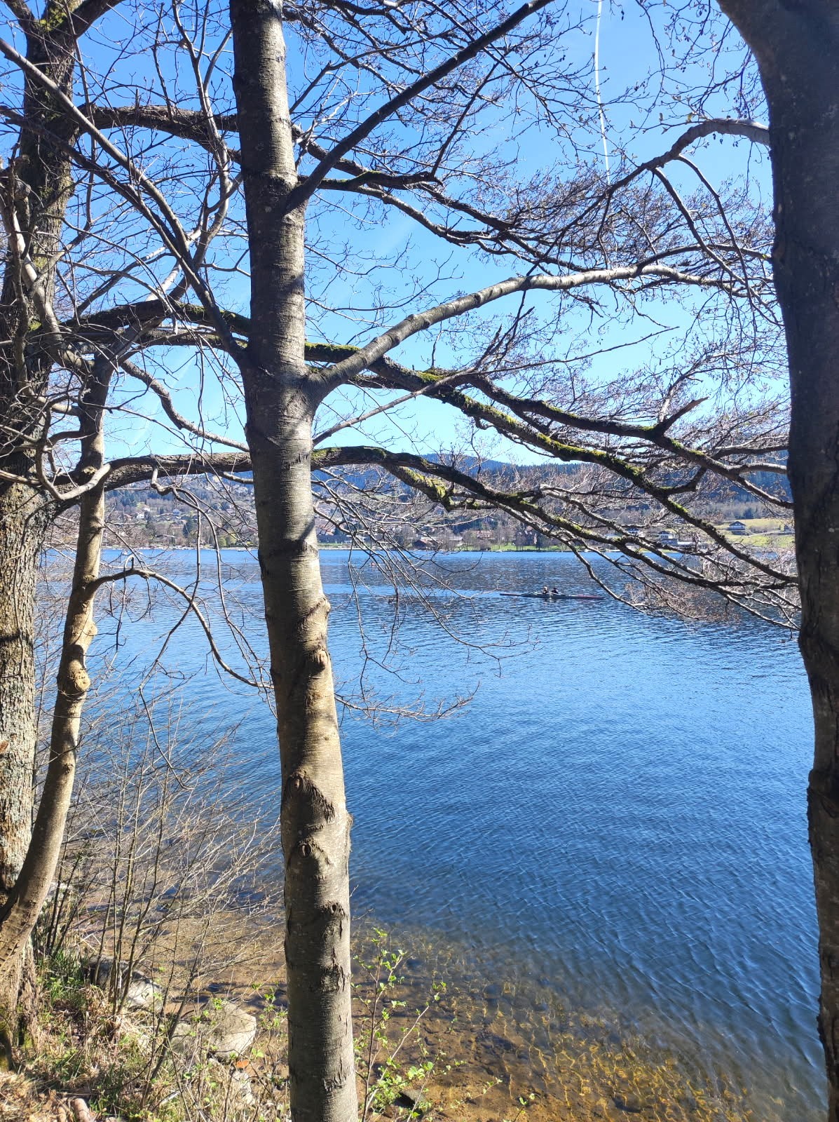 Just 1km from the famous Gérardmer lake