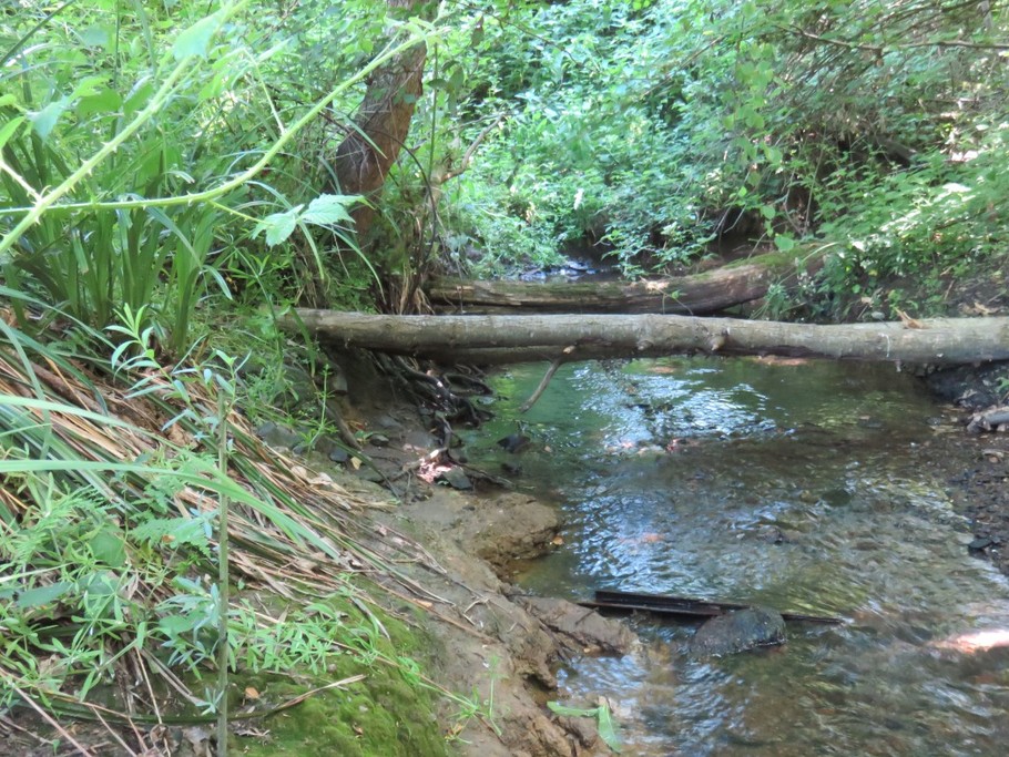 "le Berry", rivière qui coule en bas de chez nous!