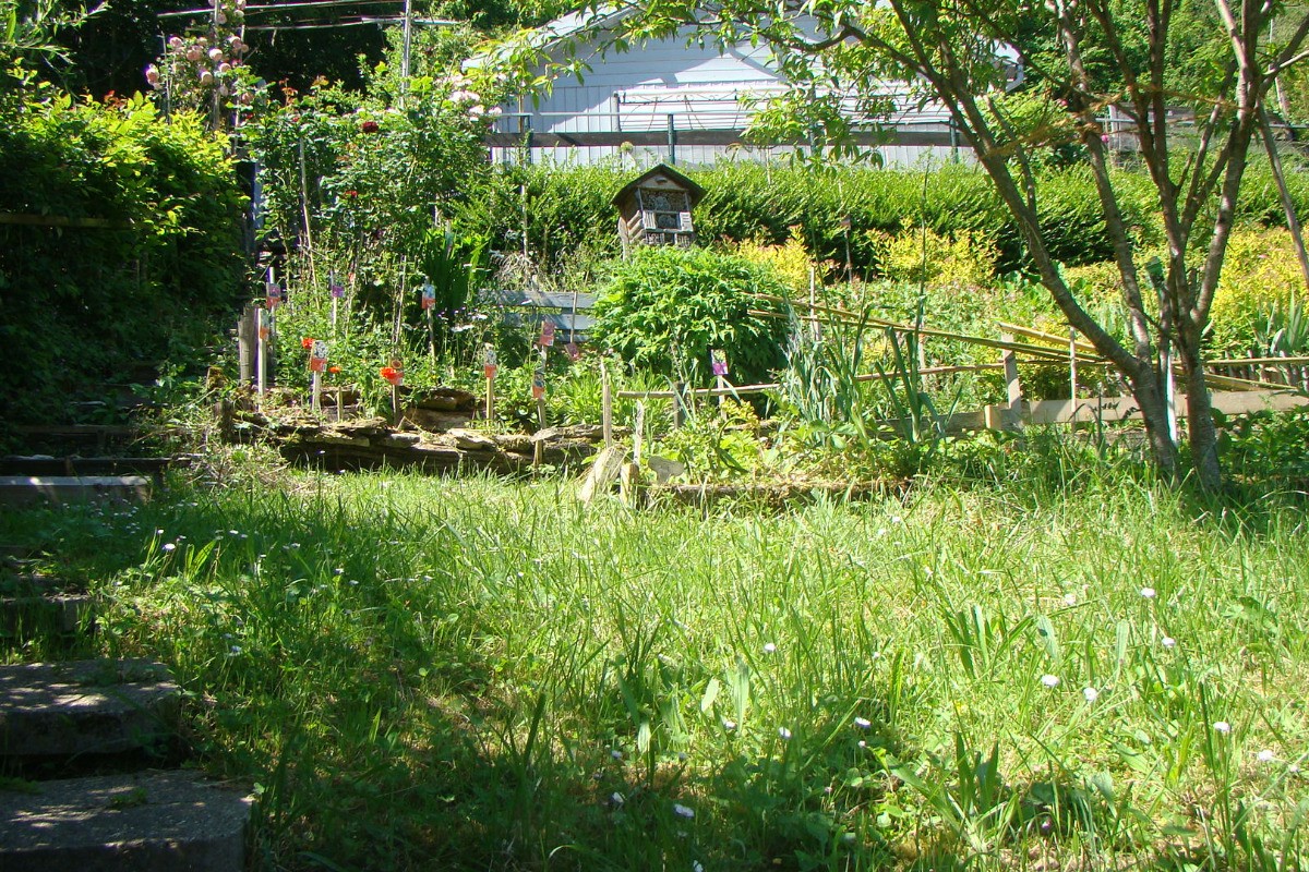 Photo n° 15 of the location