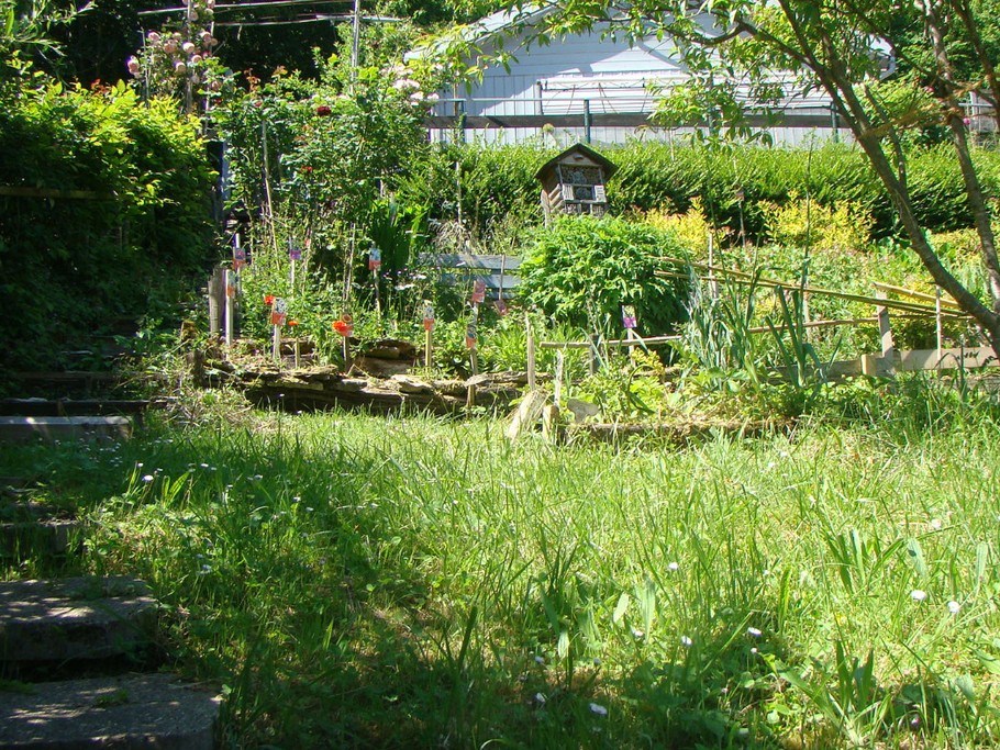 Photo n° 15 de la location