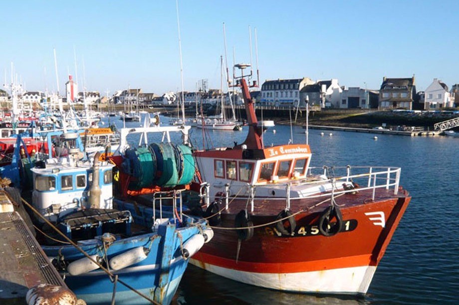 arrival of the boats