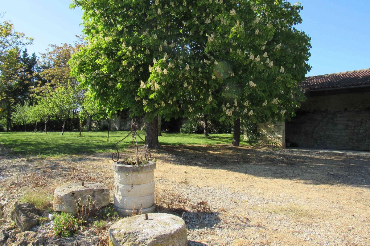 Gîte Mazagran - Espace vert