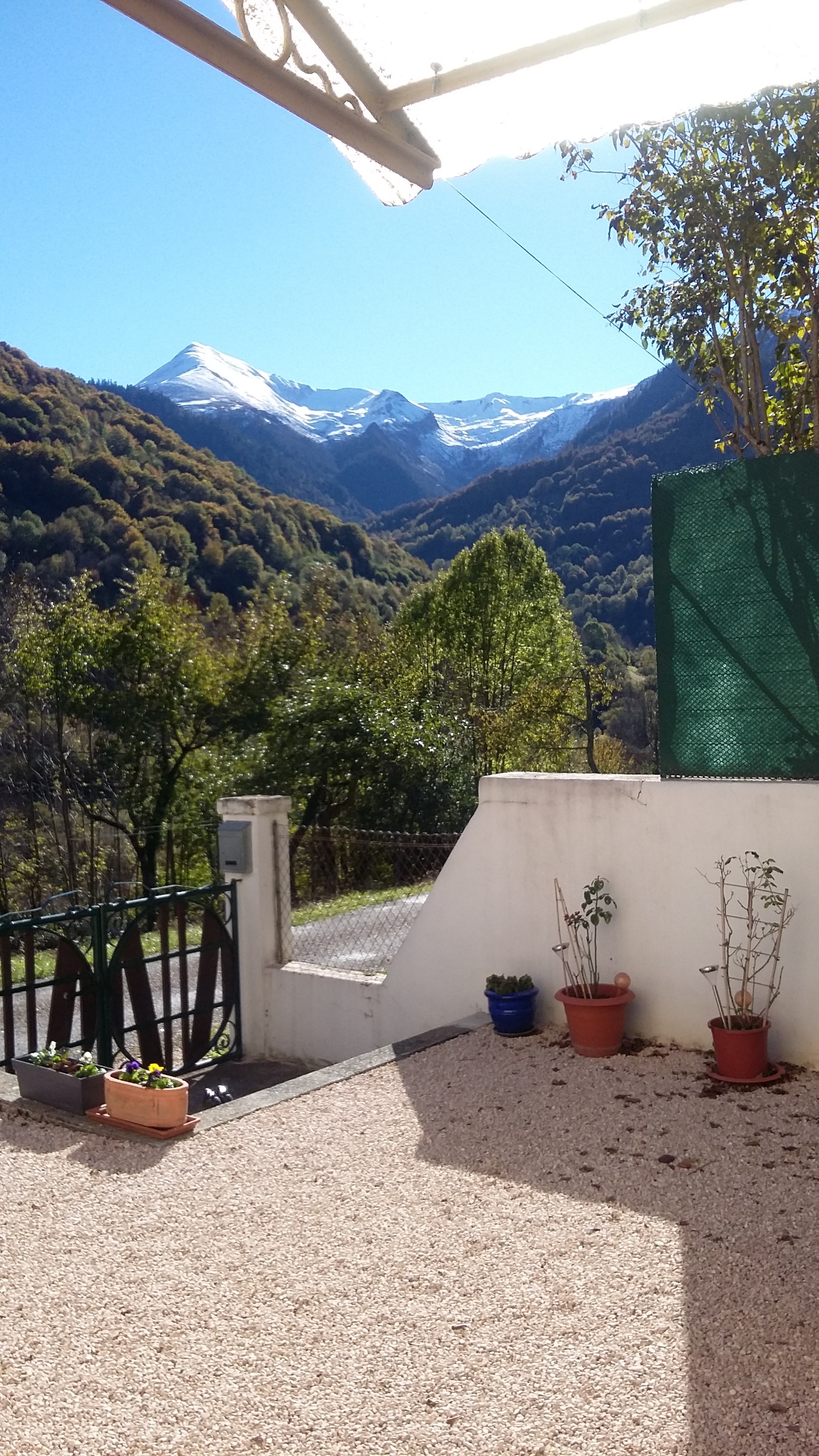 Vue depuis la cour