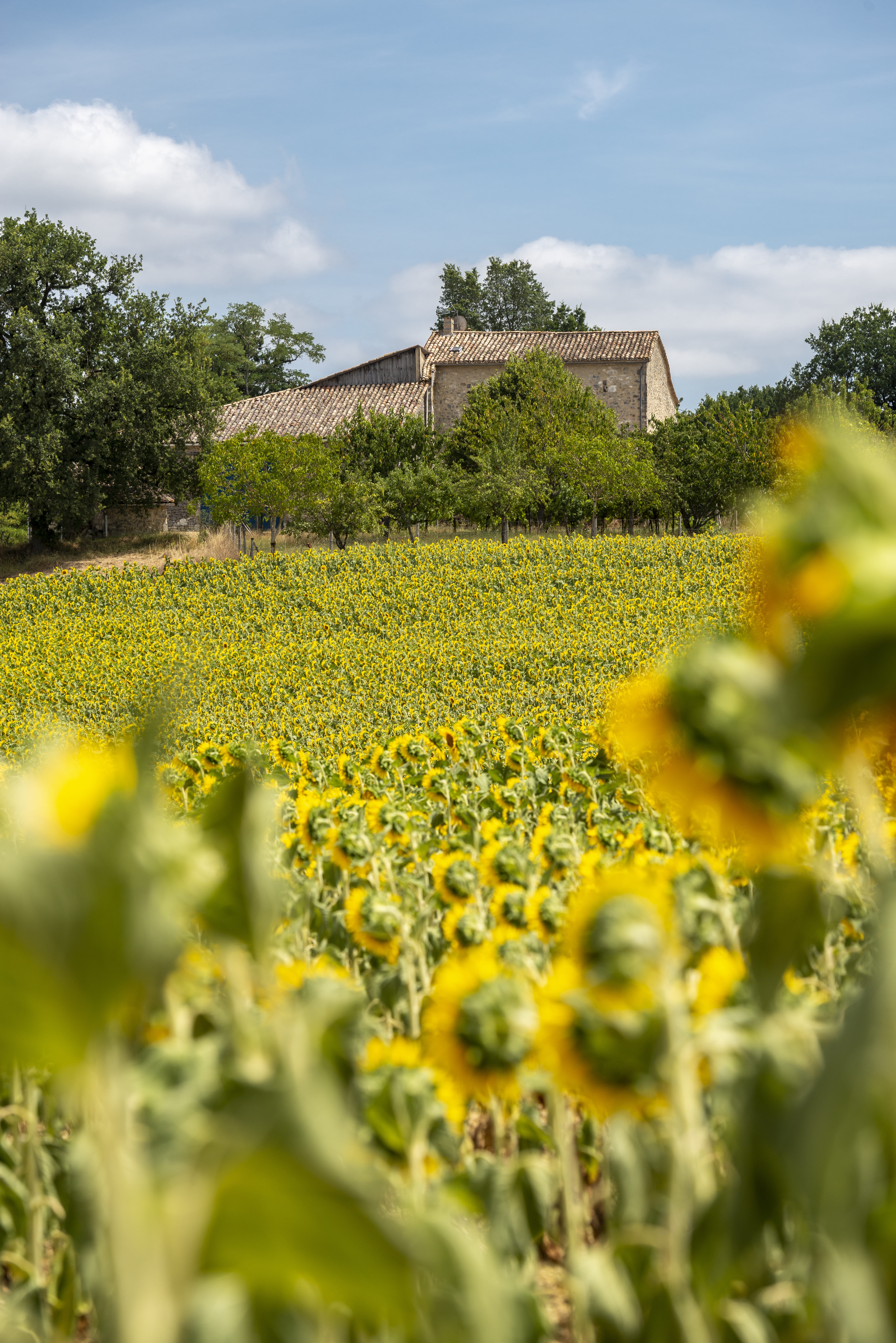 Photo n° 17 of the location