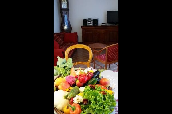 Photo n° 5 de la location