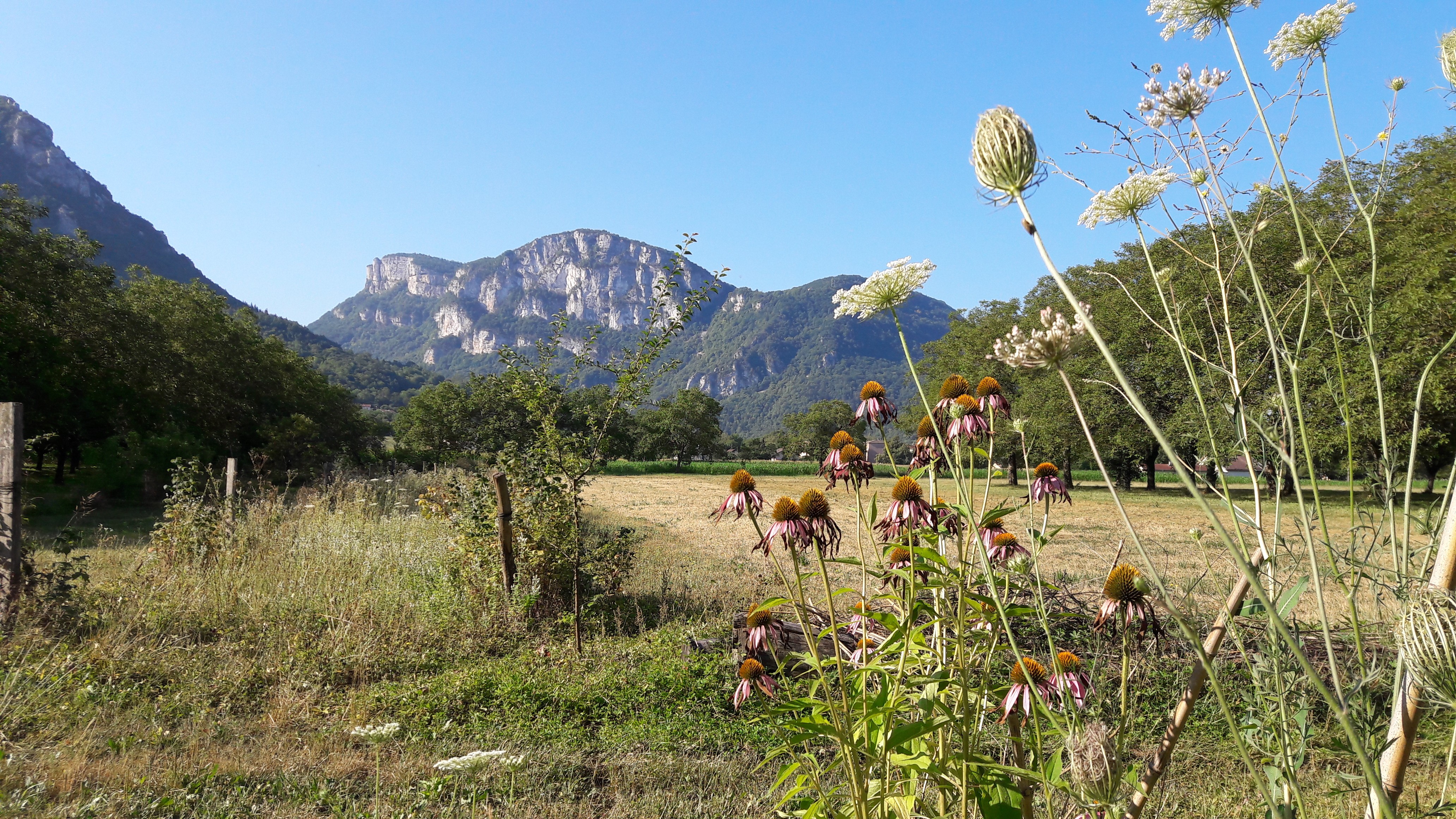 Photo n° 14 of the location